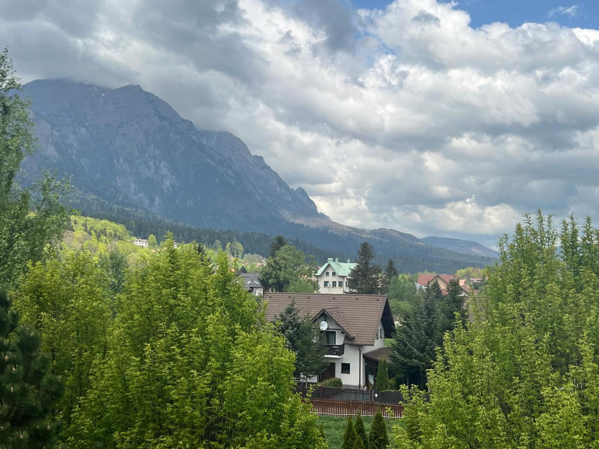 Wine Cellar Villa With Beautiful Garden In Sinaia - Busteni Пояна-Цапулуй Экстерьер фото