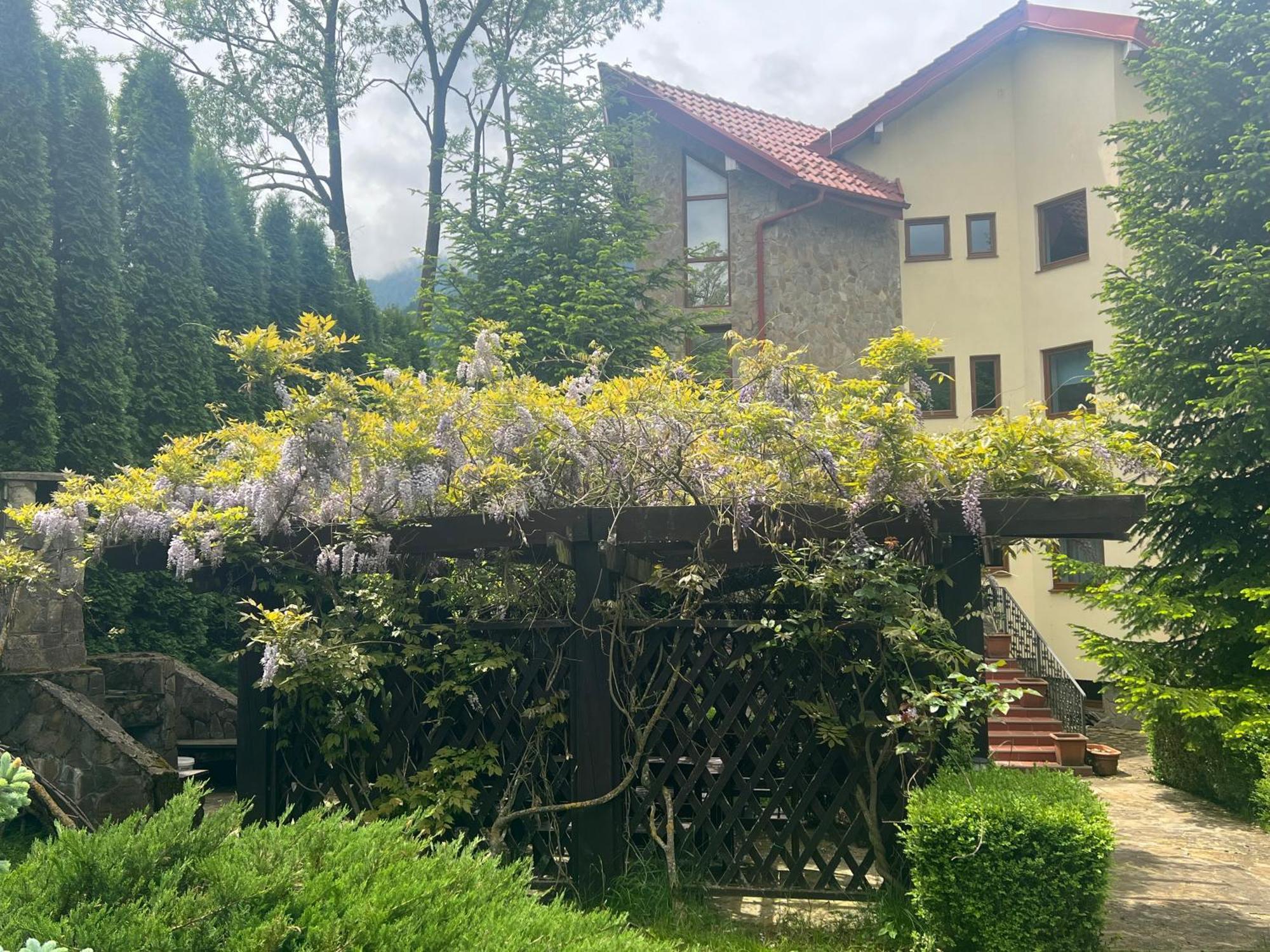 Wine Cellar Villa With Beautiful Garden In Sinaia - Busteni Пояна-Цапулуй Экстерьер фото