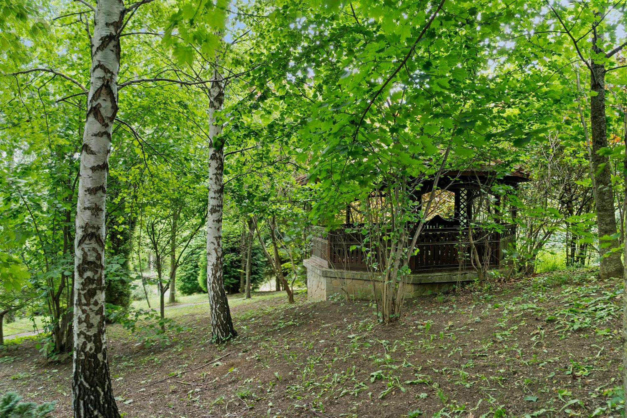 Wine Cellar Villa With Beautiful Garden In Sinaia - Busteni Пояна-Цапулуй Экстерьер фото