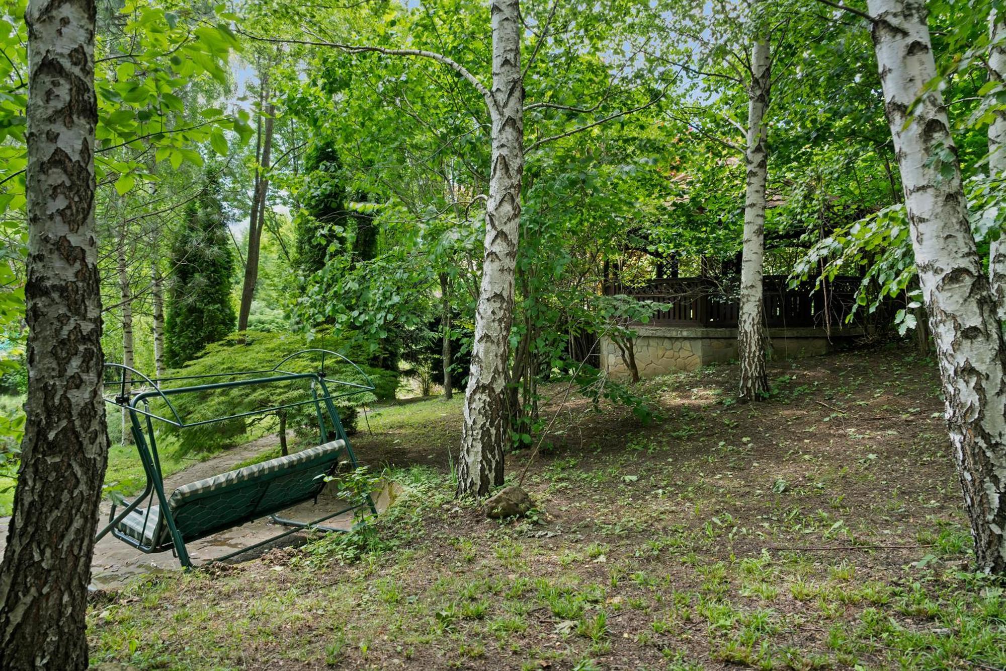Wine Cellar Villa With Beautiful Garden In Sinaia - Busteni Пояна-Цапулуй Экстерьер фото