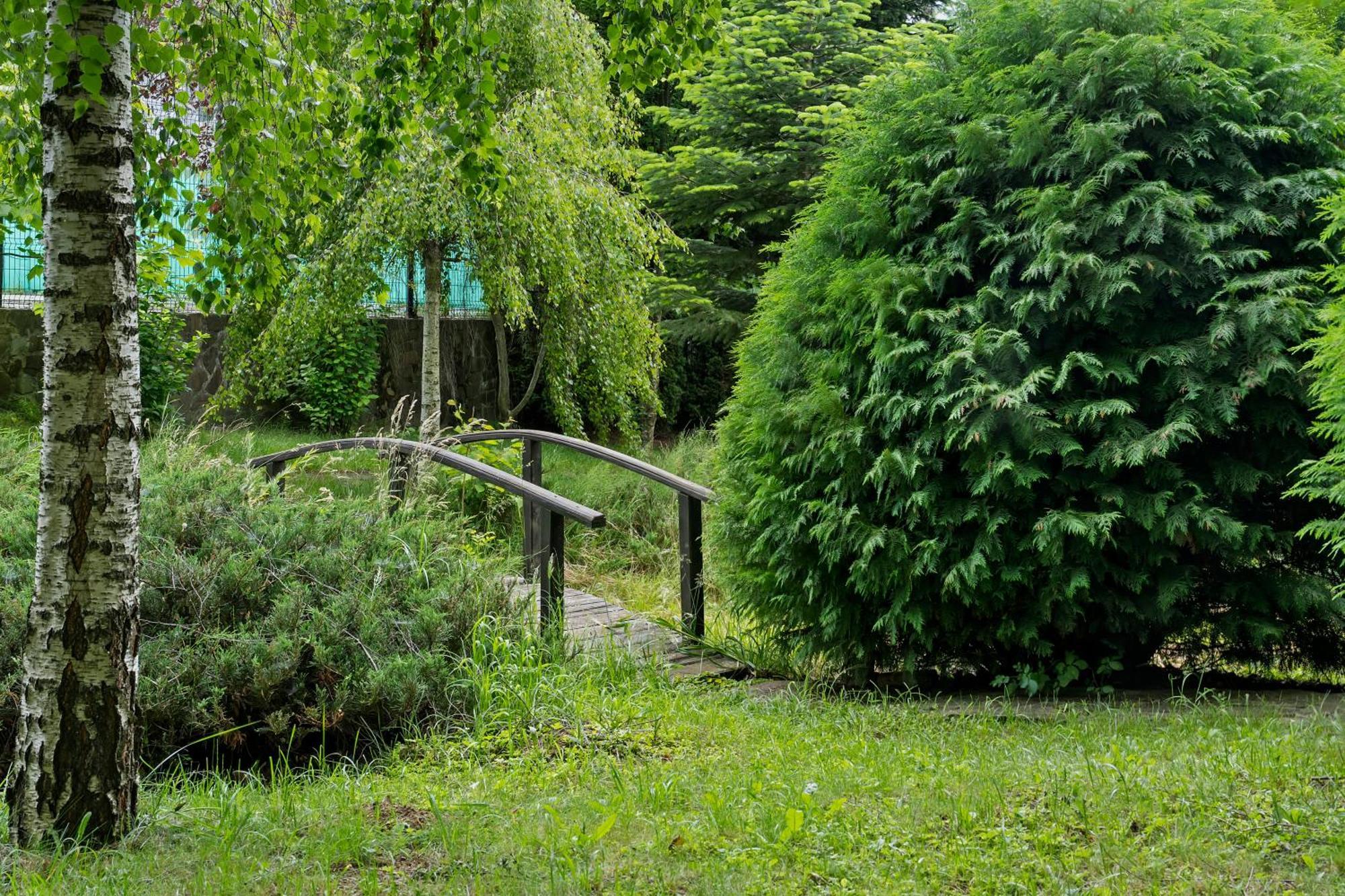 Wine Cellar Villa With Beautiful Garden In Sinaia - Busteni Пояна-Цапулуй Экстерьер фото